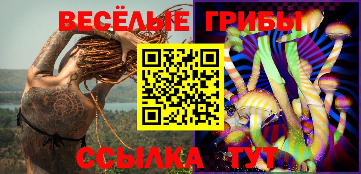 Абинск  Галлюциногенные грибы Magic Shrooms  Галлюциногенные грибы MAGIC MUSHROOMS  где найти наркотики  Вход с VPN 